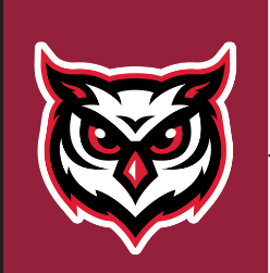 Owl logo